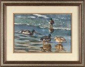 AMERICAN SCHOOL (CONTEMPORARY,