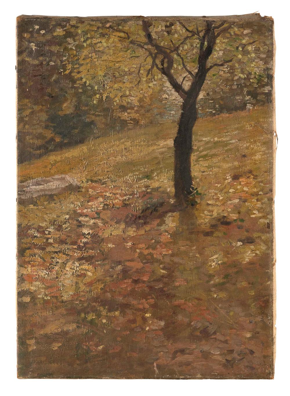 AMERICAN SCHOOL (DATED 1908,),