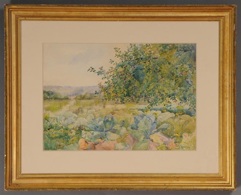 AMERICAN SCHOOL: FIELD WITH TREES