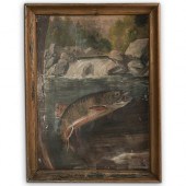 AMERICAN SCHOOL JUMPING TROUT