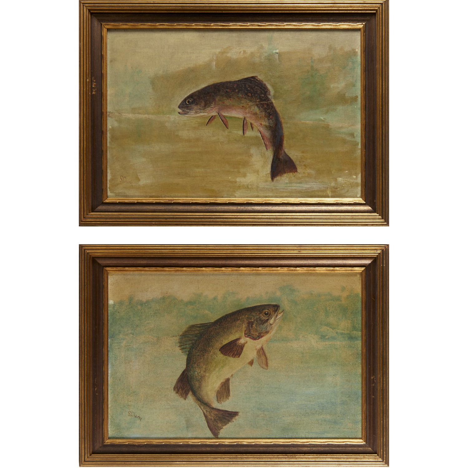 AMERICAN SCHOOL, PAIR GAMEFISH