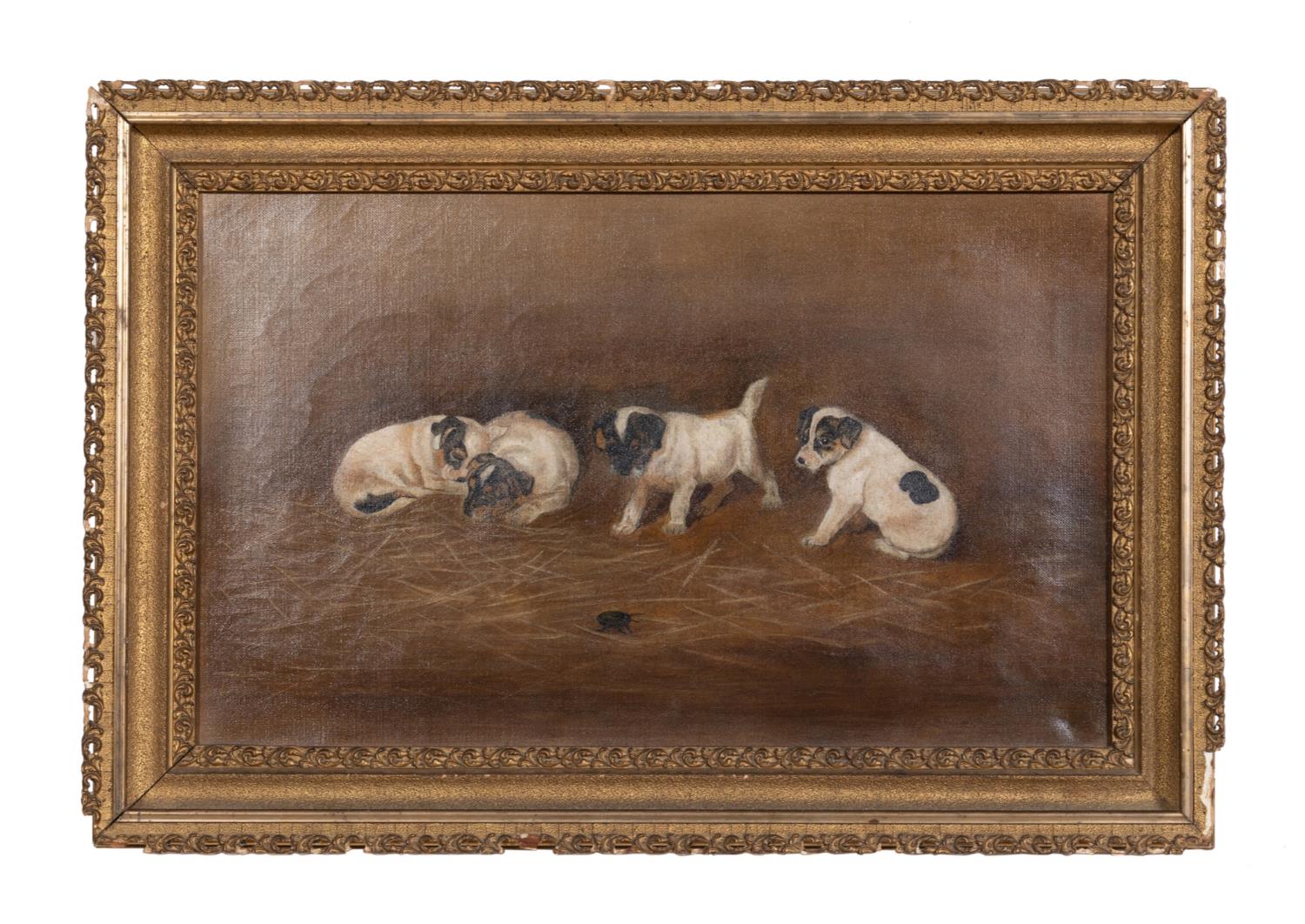 AMERICAN SCHOOL, 'PUPPIES &