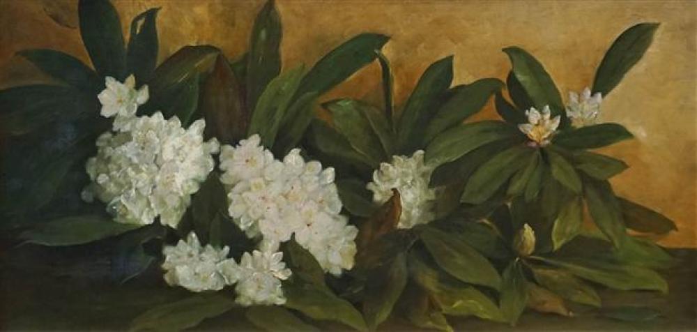 AMERICAN SCHOOL, STILL LIFE, OIL ON