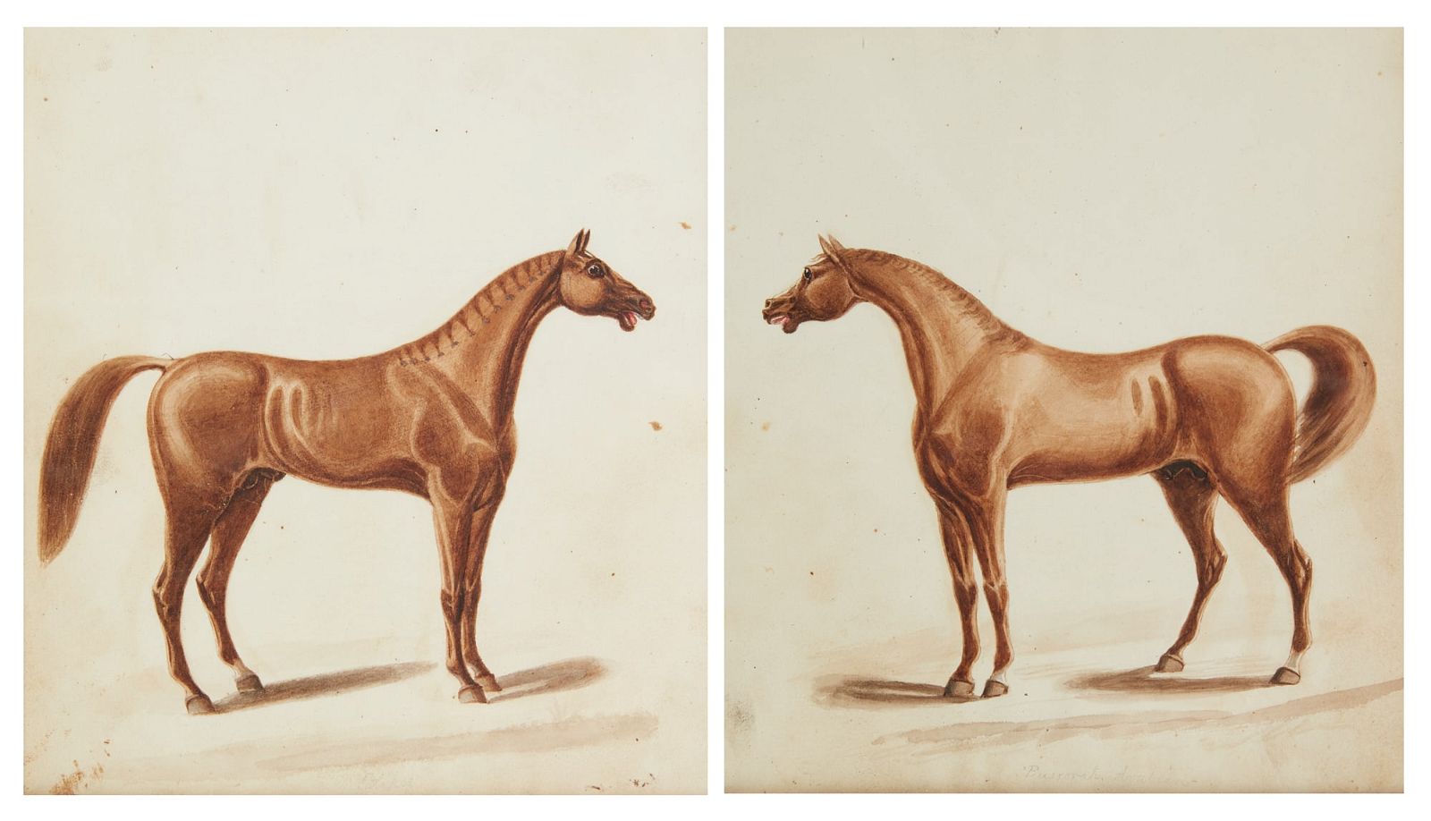 AMERICAN SCHOOL, STUDY OF HORSES