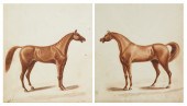 AMERICAN SCHOOL, STUDY OF HORS