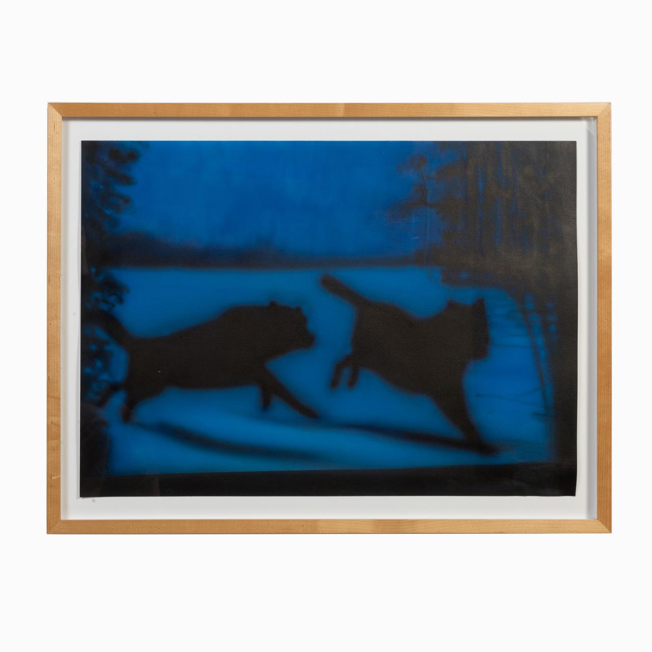 AMERICAN SCHOOL, 'TWO WOLVES", MM