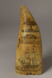 AMERICAN SCRIMSHAW AND POLYCHR