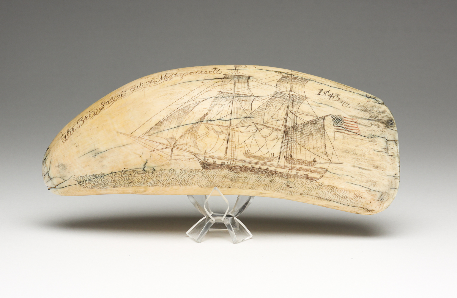AMERICAN SCRIMSHAW TOOTH "BRIG
