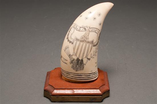 American scrimshaw whale tooth,