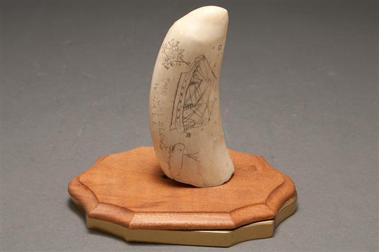 American scrimshaw whale tooth,