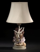 American Seashell, Limpet and