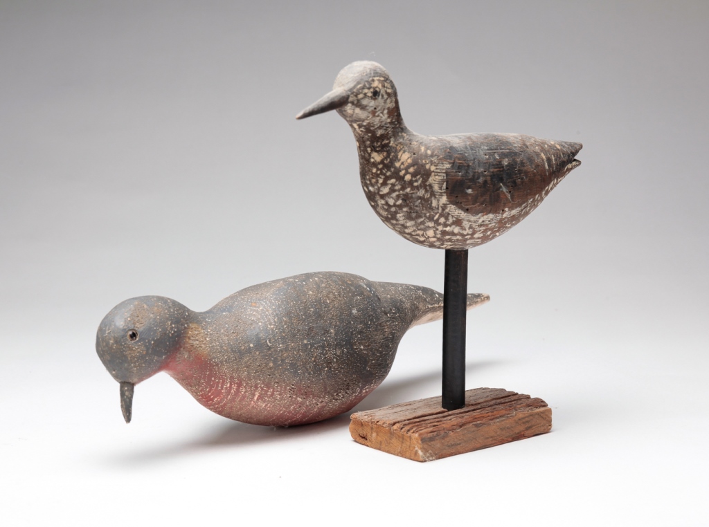 AMERICAN SHOREBIRD AND PIGEON