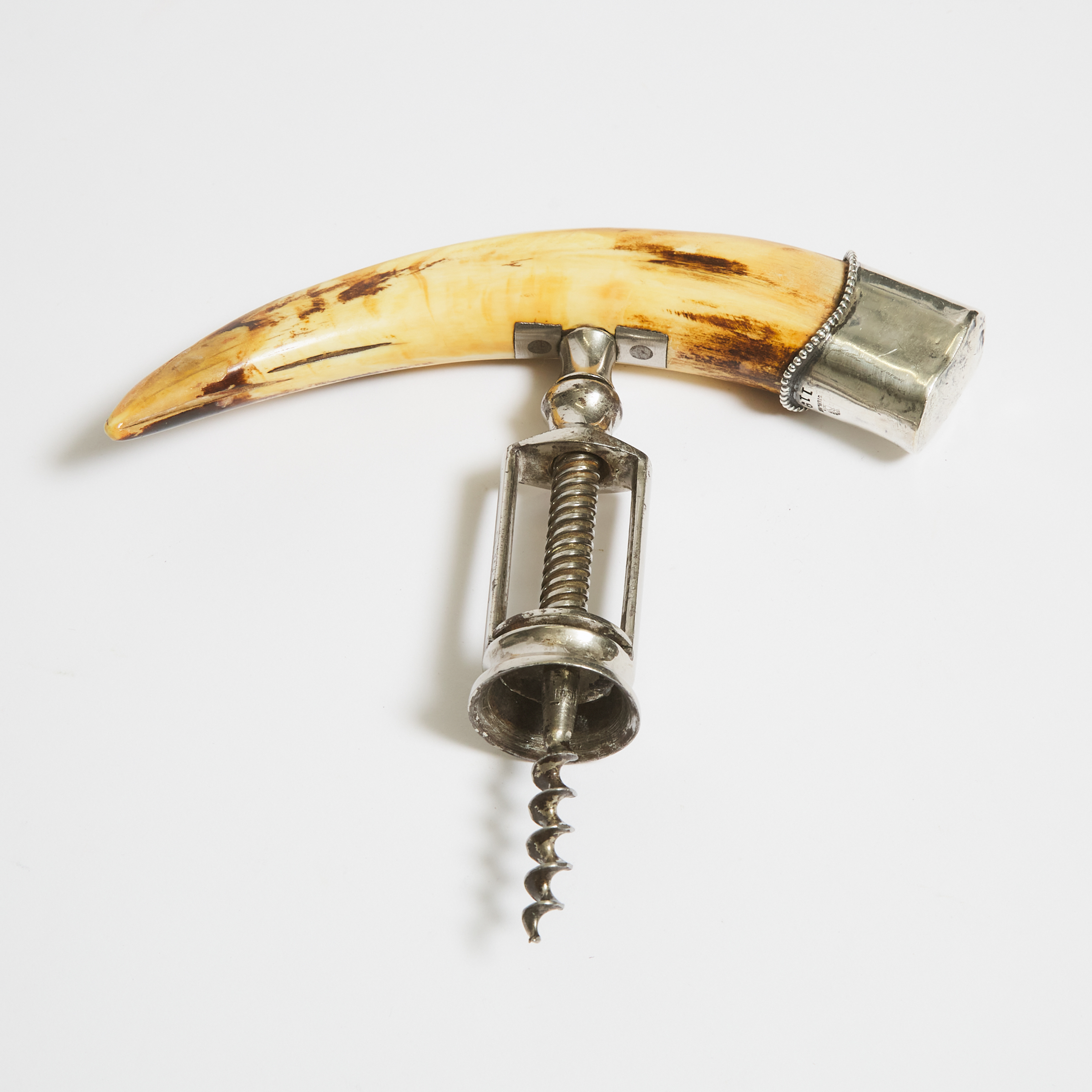 American Silver Mounted Boar's Tusk