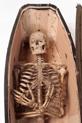 AMERICAN SKELETON IN A COFFIN.