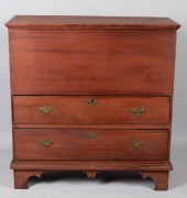 AMERICAN STAINED POPLAR MULE C