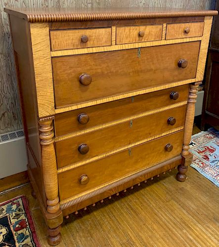AMERICAN TIGER MAPLE, CHERRY AND