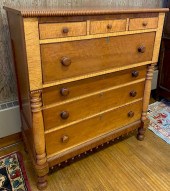AMERICAN TIGER MAPLE, CHERRY A