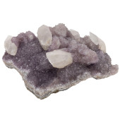 AMETHYST WITH LARGE DOGTOOTH C