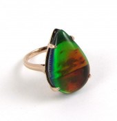 AMMOLITE TRIPLET AND FOURTEEN