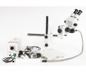 AmScope with WF10X/20 eye piec