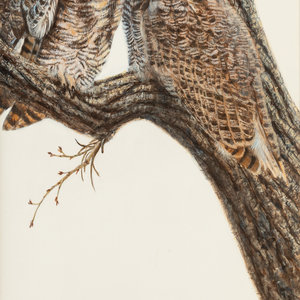 Amy Brackenbury (American b.