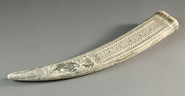 AN AMERICAN 19TH CENTURY WALRUS