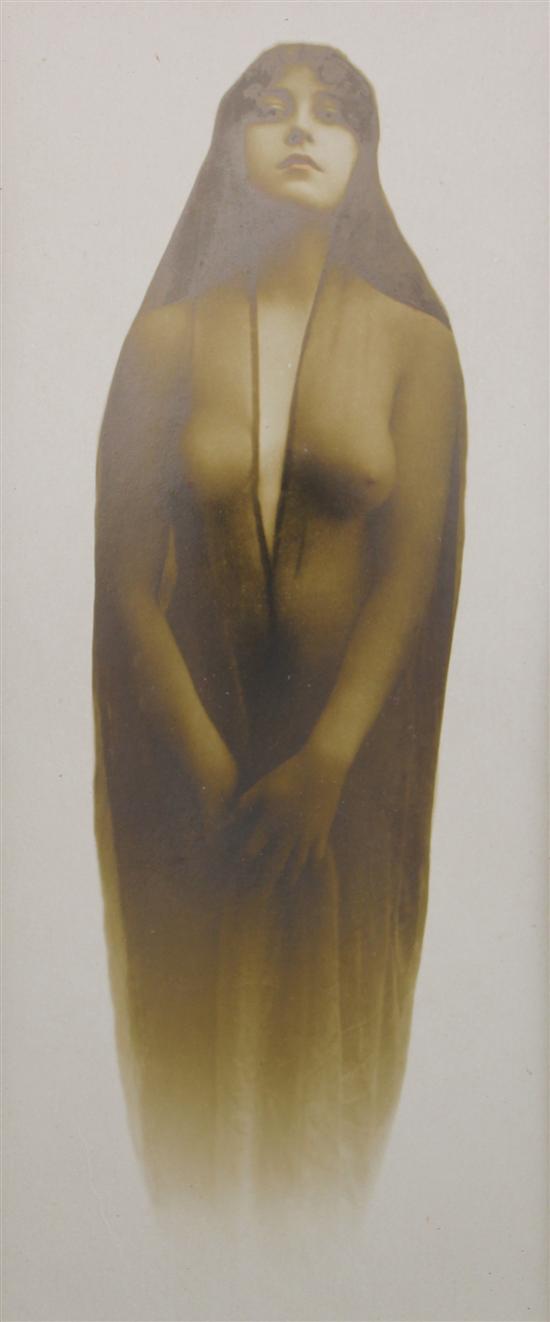 An American toned silverprint of