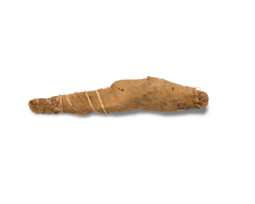 AN ANCIENT EGYPTIAN MUMMIFIED