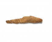 AN ANCIENT EGYPTIAN MUMMIFIED