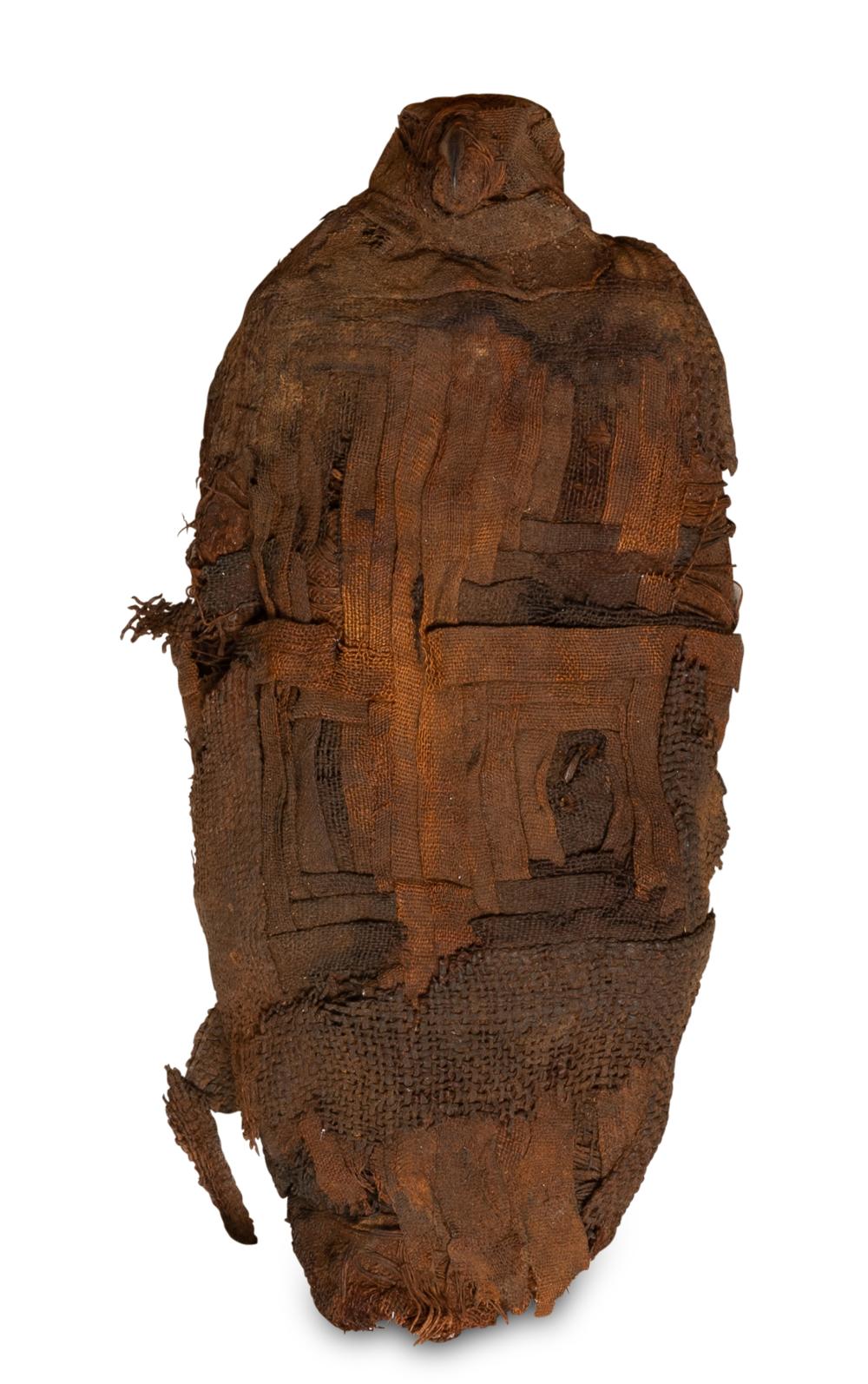 AN ANCIENT EGYPTIAN MUMMIFIED