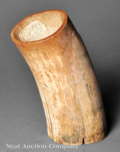 An Ancient Mastodon Ivory Tusk