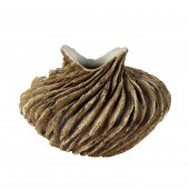 AN ANNE GOLDMAN POTTERY WIND D