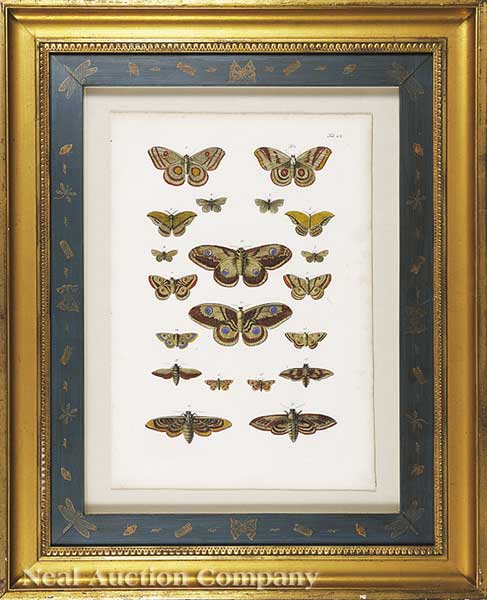 An Antique Hand-Colored Engraving