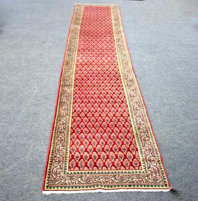 An Araak runner with repeating