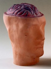 AN ART GLASS PHRENOLOGY HEADAn