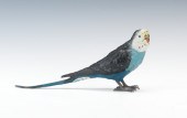 An Austrian Cold Painted Parak
