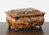 An early 19th century tortoise