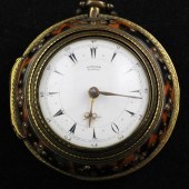An early 19th century tortoise