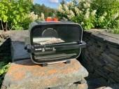 An electric convection, Maxim