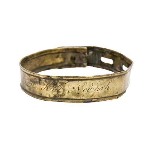 An English sheet brass dog