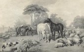 An Engraving of Horses After J