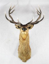 An impressive twelve point tax