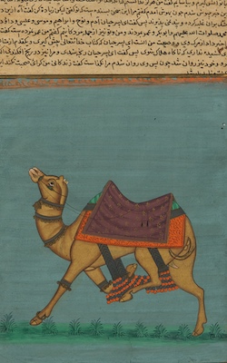 An Indian Illuminated Manuscript
