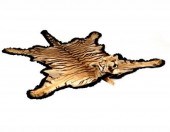 An Indian tiger skin (Panthera