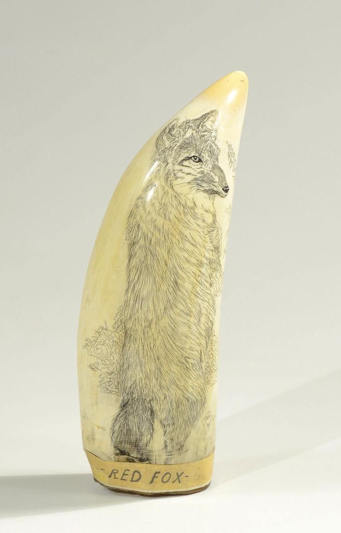 AN IVORY LARGE WHALE'S TOOTH