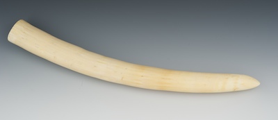 An Ivory Tusk The 17"L natural tusk