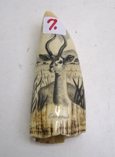 AN IVORY WHALE'S TOOTH