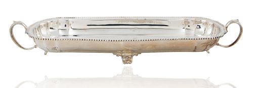 AN OBLONG SILVER PLATED TRAY,