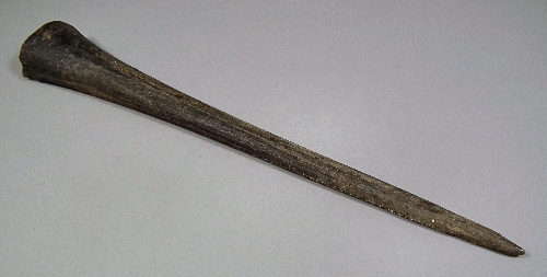 An old swordfish bill 20ins overall