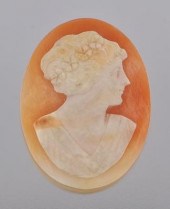 An Unmounted Carved Shell Came